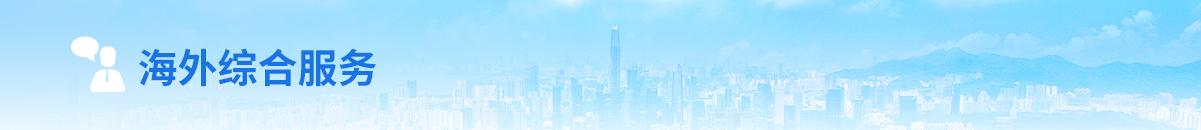 海外综合服务